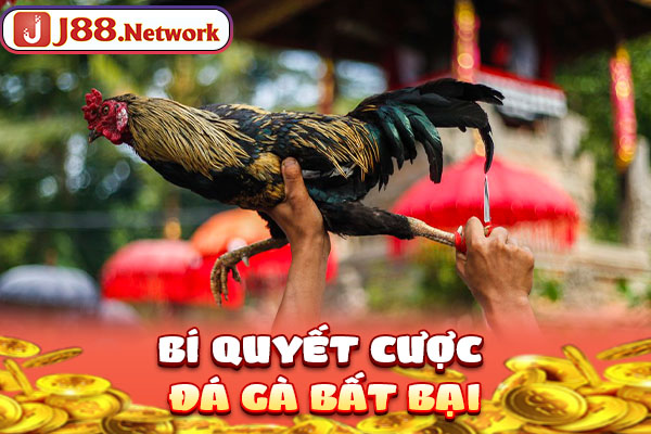 Bí quyết cược đá gà bất bại