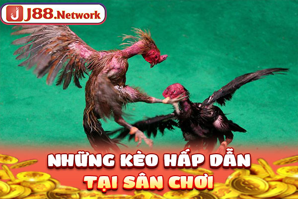 Những kèo hấp dẫn tại sân chơi