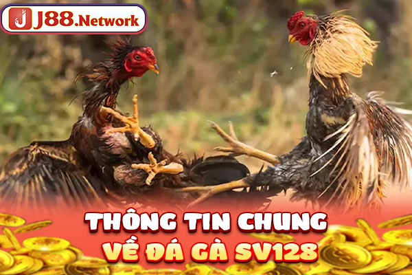 Thông tin chung về đá gà SV128