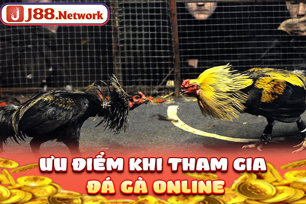 Ưu điểm khi tham gia đá gà online